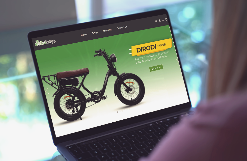 EbikeBoys